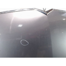 CAPOT CITROEN C4 04-08
