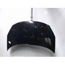 CAPOT PEUGEOT 206+ 2009-