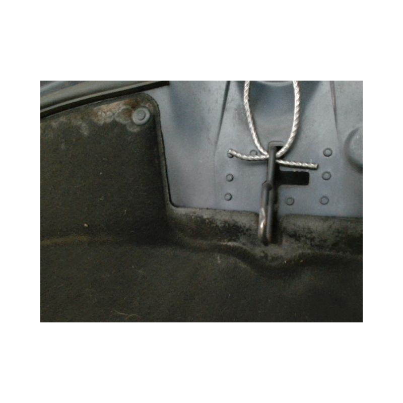 CAPOT CITROEN C4