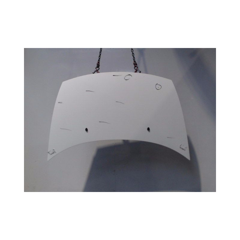 CAPOT CITROEN C3 2002-2005