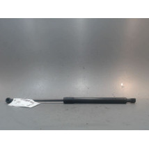 VERIN CAPOT D RENAULT MEGANE