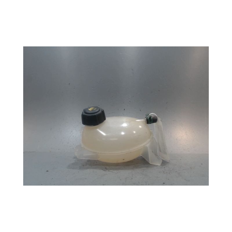 VASE EXPANSION DACIA SANDERO