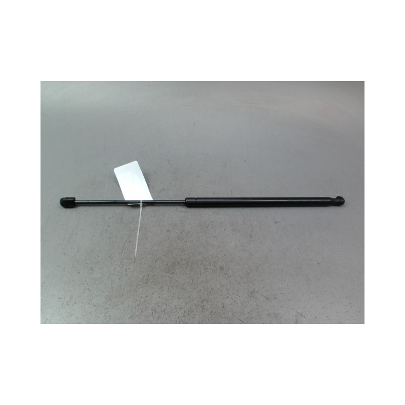 VERIN HAYON G RENAULT MEGANE SCENIC MONOSP. I Phase 2 1999-2003