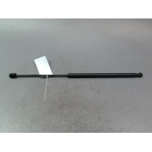 VERIN HAYON G RENAULT MEGANE SCENIC MONOSP. I Phase 2 1999-2003