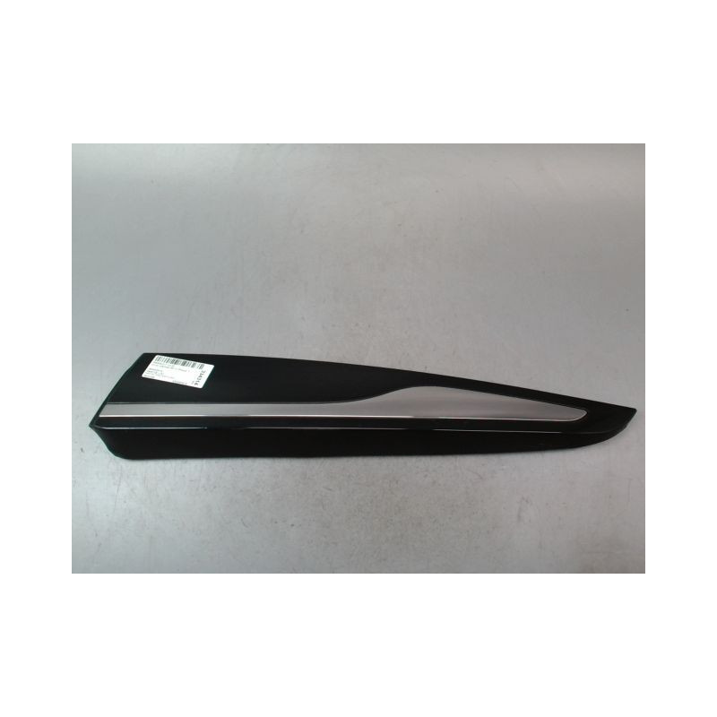 PROTECTION PORTE ARRIERE GAUCHE RENAULT CLIO IV Phase 1 2012-...