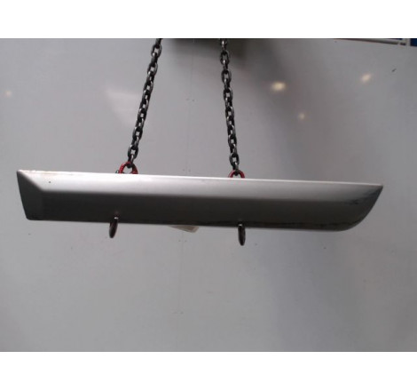 PROTECTION PORTE ARG