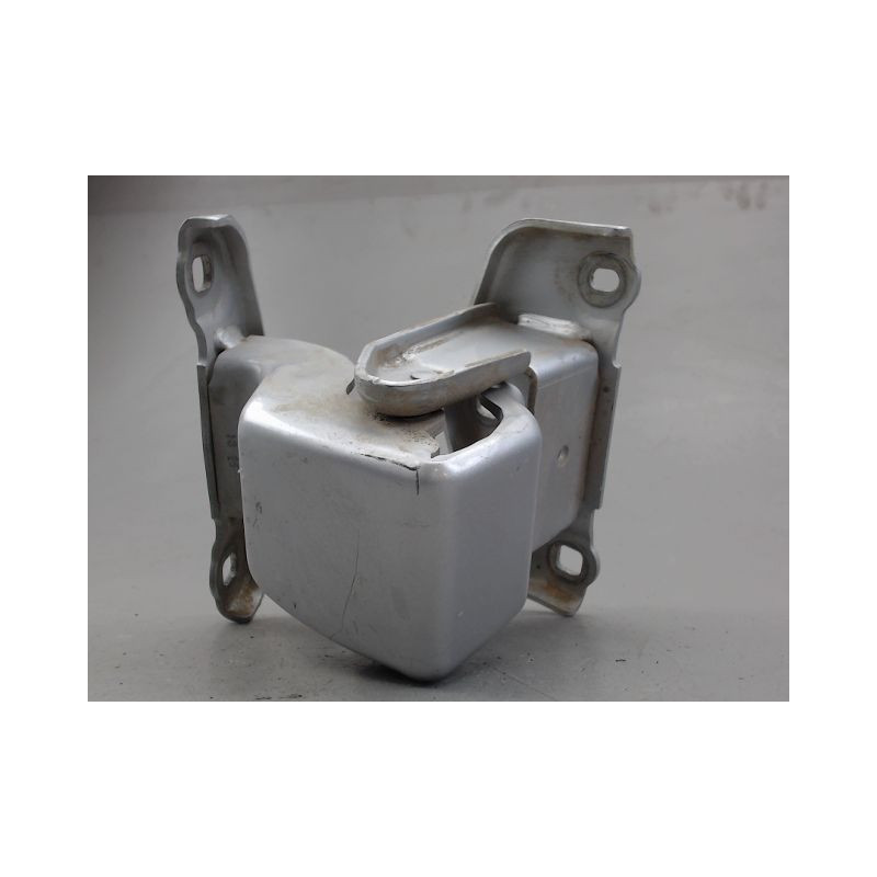 CHARNIERE INF PORTE BATTANTE ARG RENAULT TRAFIC