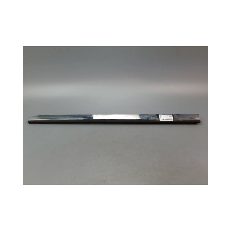 PROTECTION PORTE AVANT GAUCHE RENAULT CLIO