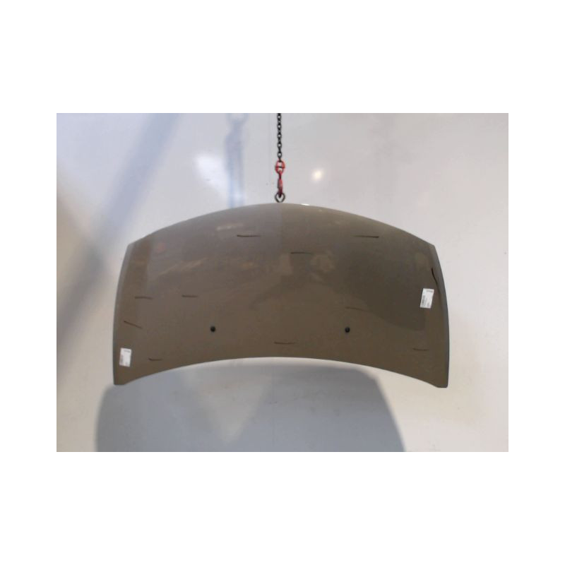 CAPOT RENAULT CLIO III 2010-