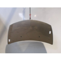 CAPOT RENAULT CLIO III 2010-