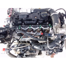 MOTEUR DIESEL FORD FIESTA V Phase 1 2002-2005 1.4 TDCi