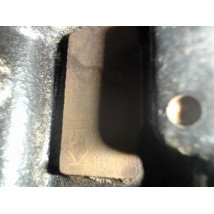 MOTEUR DIESEL RENAULT CLIO 3 1.5 dCi 