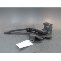 COMPAS GAUCHE CAPOT RENAULT LATITUDE