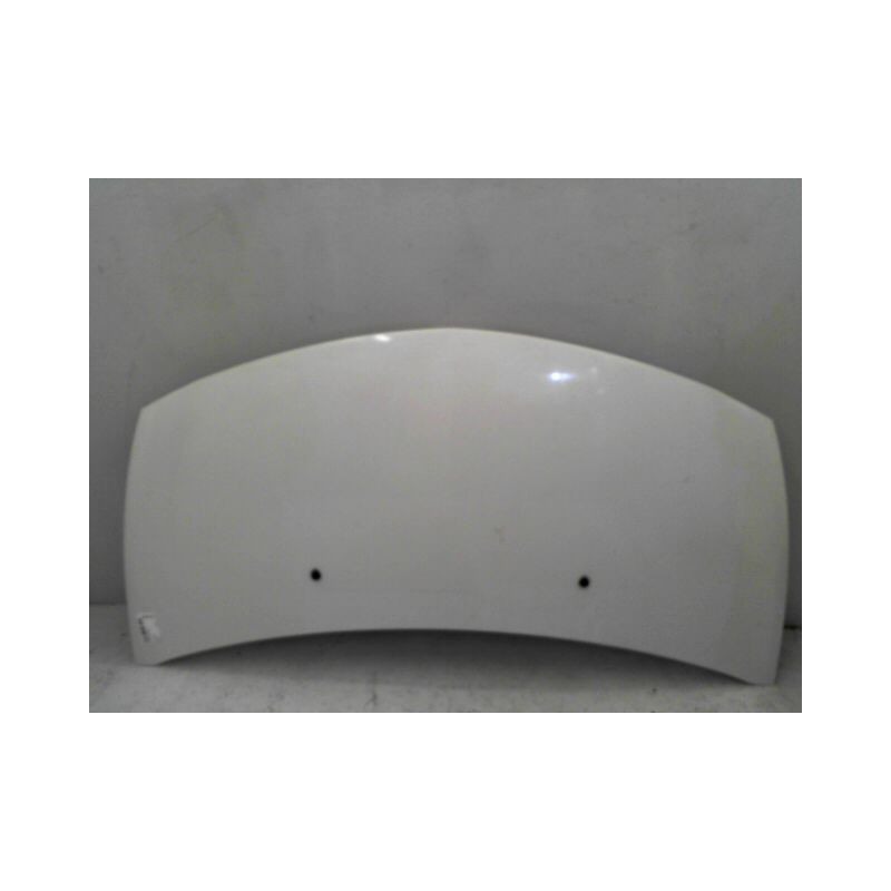 CAPOT RENAULT CLIO III 2005-
