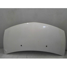 CAPOT RENAULT CLIO III 2005-