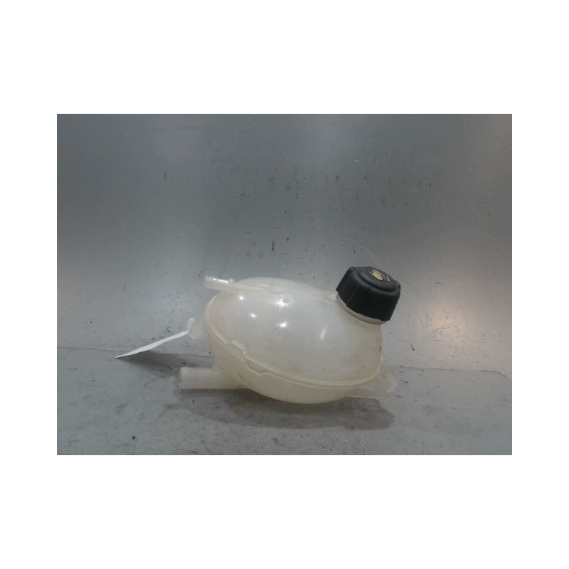 VASE EXPANSION RENAULT CLIO