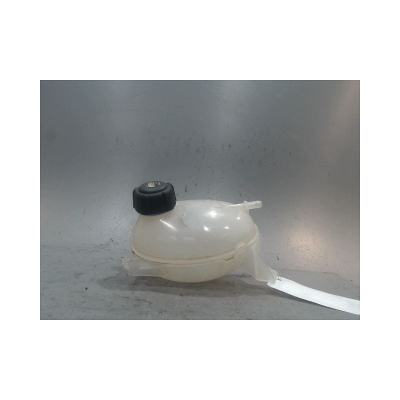 VASE EXPANSION RENAULT CLIO