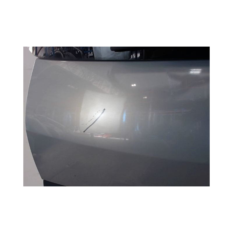 HAYON RENAULT SCENIC II PH1 02-06