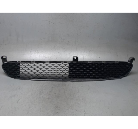 GRILLE PARE-CHOC AV