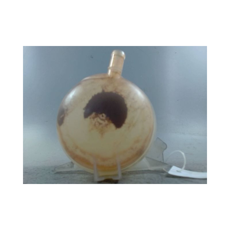 VASE EXPANSION DACIA SANDERO 2008-