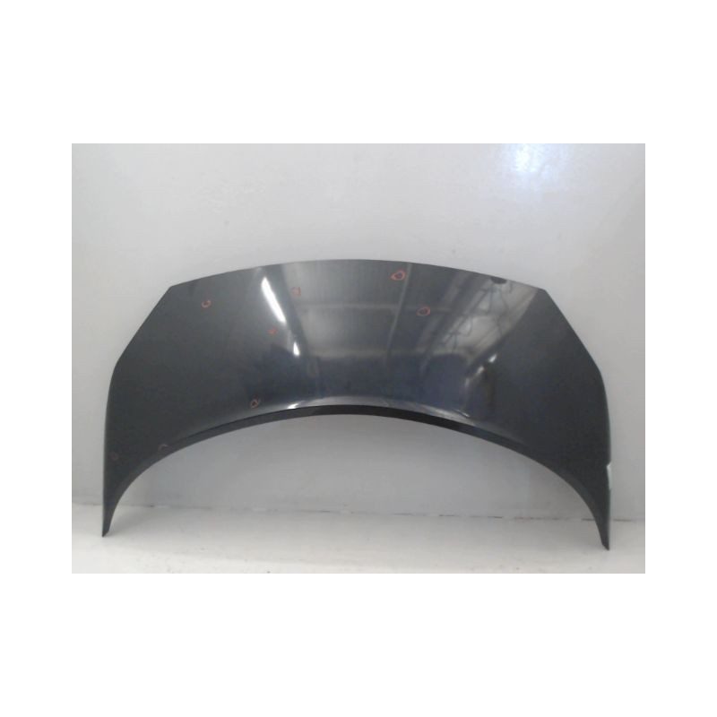 CAPOT RENAULT SCENIC II PH1 02-06
