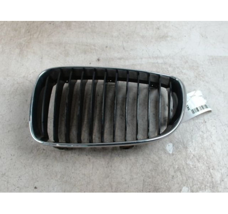 GRILLE CALANDRE G