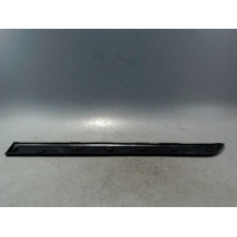 PROTECTION PORTE AVANT GAUCHE CITROEN NEMO 2007-