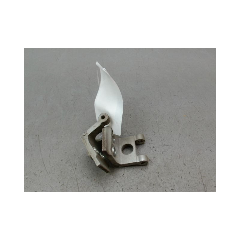 CHARNIÈRE PORTE AVD PEUGEOT 206 + 2009-2013