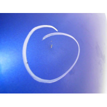 AILE AVANT GAUCHE CITROEN C3 PLURIEL 03-08