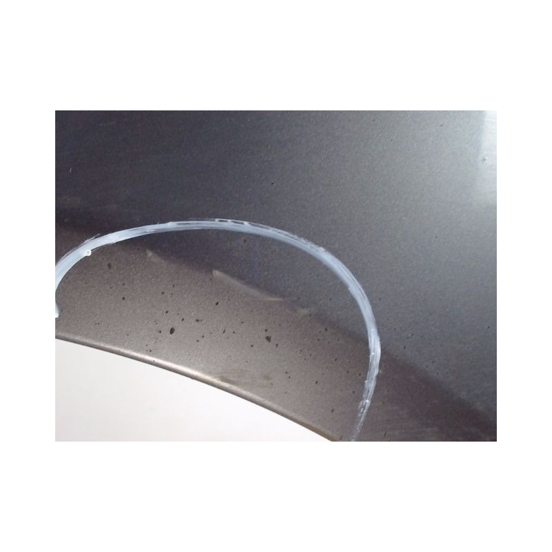 AILE AVANT GAUCHE RENAULT SCENIC I PH2 99-03