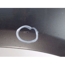AILE AVANT GAUCHE RENAULT SCENIC I PH2 99-03