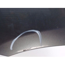 AILE AVANT GAUCHE RENAULT SCENIC I PH2 99-03