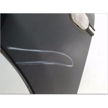AILE AVANT GAUCHE RENAULT CLIO II PH.2 01-06