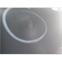 AILE AVANT GAUCHE RENAULT CLIO II PH.2 01-06