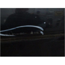 PARE-CHOC ARRIER CITROEN C4