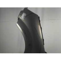 AILE AVANT GAUCHE RENAULT SCENIC II PH1 02-06