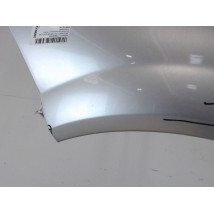 AILE AVANT GAUCHE RENAULT MEGANE II PH1 02-05
