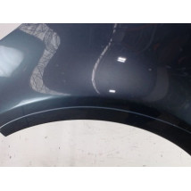 AILE AVANT GAUCHE RENAULT CLIO III 2009-