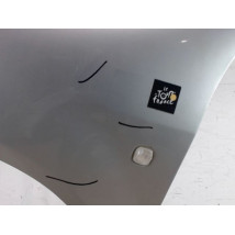 AILE AVANT GAUCHE SKODA FABIA COMBI 2004-