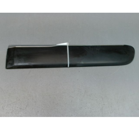 PROTECTION PORTE ARG