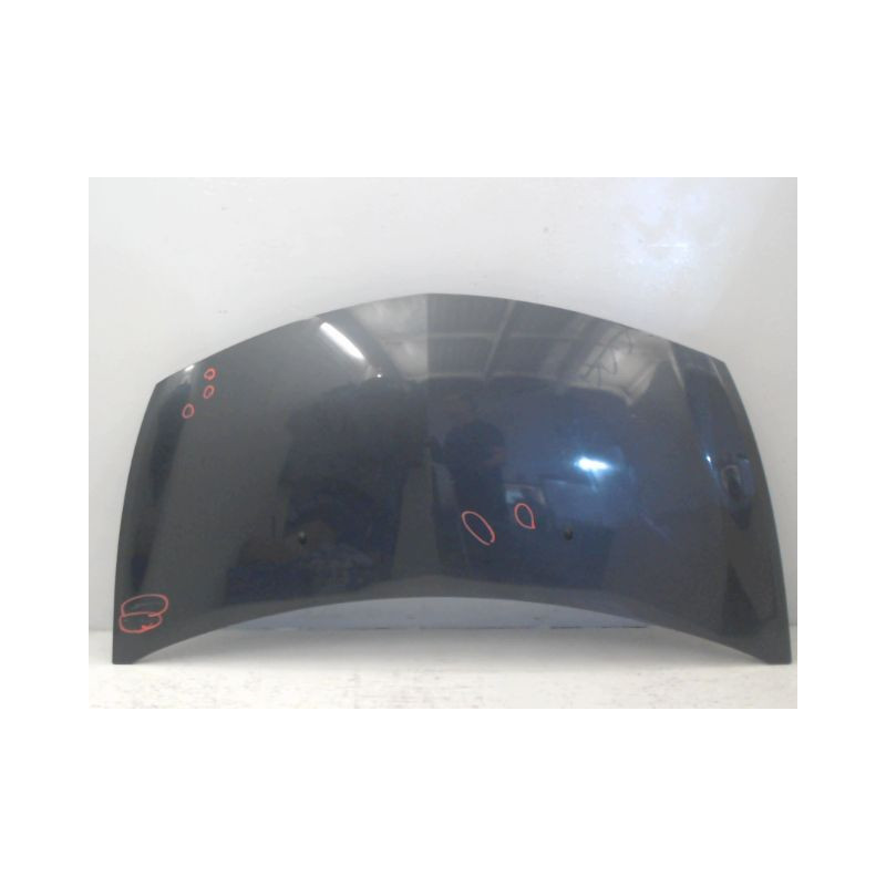 CAPOT RENAULT CLIO III 2005-