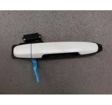 POIGNEE EXT PORTE ARD