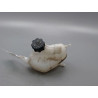 VASE EXPANSION NISSAN X-TRAIL BREAK I Phase 2 2004-2007