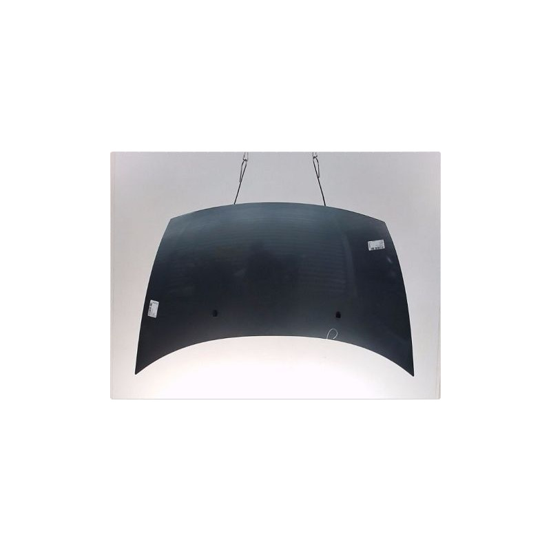 CAPOT CITROEN C3 2002-2005
