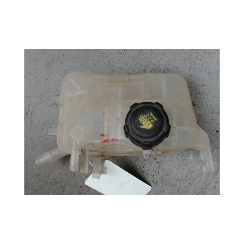 VASE EXPANSION RENAULT MEGANE III 2008-