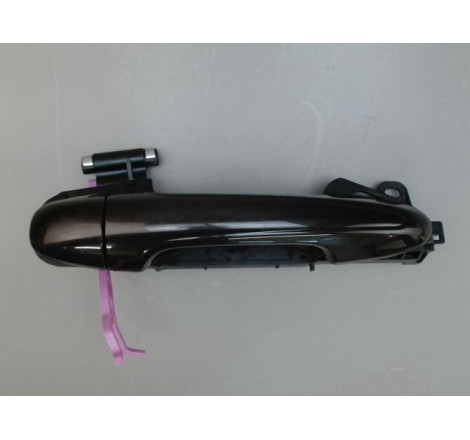 POIGNEE EXT PORTE ARD