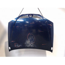 CAPOT RENAULT MEGANE I PH2 99-02