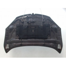 CAPOT RENAULT MEGANE III Phase 2 2012-2014