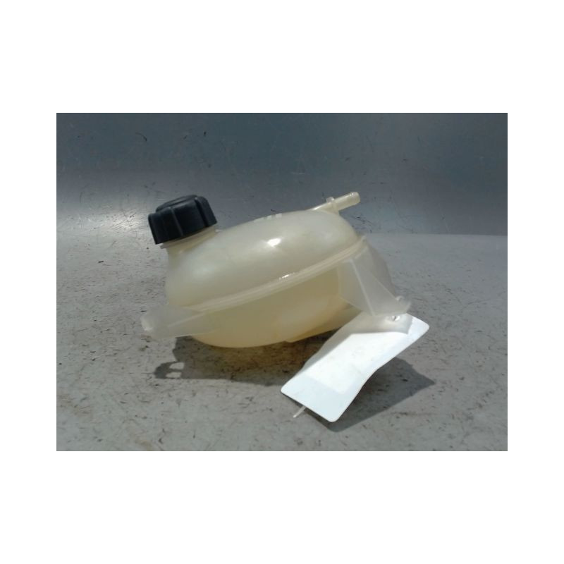 VASE EXPANSION RENAULT CLIO IV
