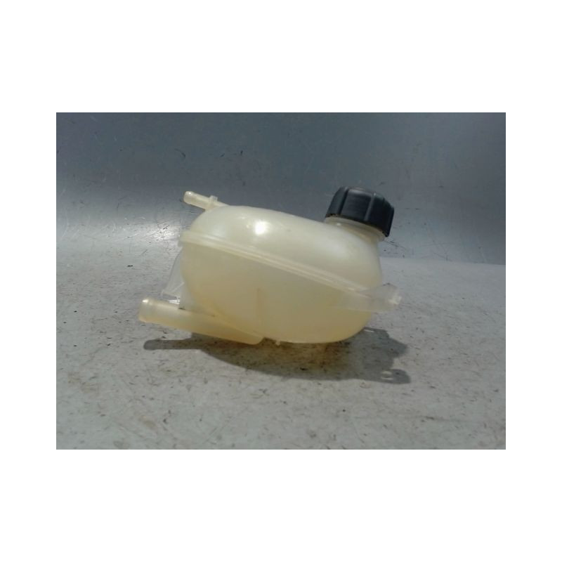 VASE EXPANSION RENAULT CLIO IV